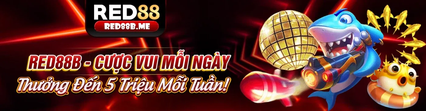 Hình ảnh tổng quan về OkeVIP link mới nhất và tin tức